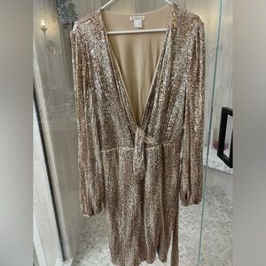 Beautiful Venus gold/silver sequins dress!